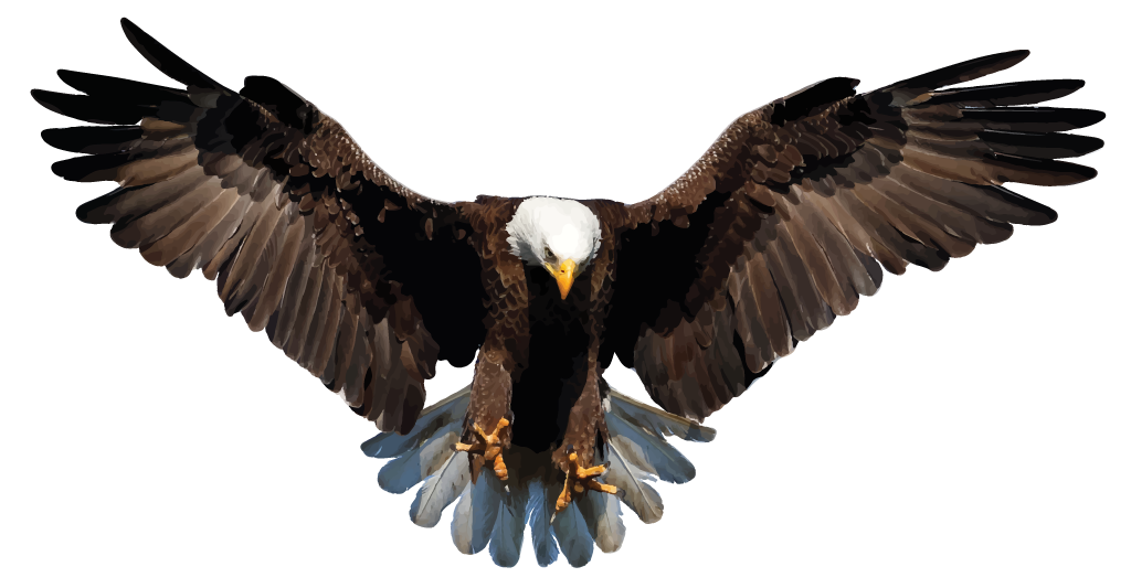 Eagle PNG Images pngteam.com