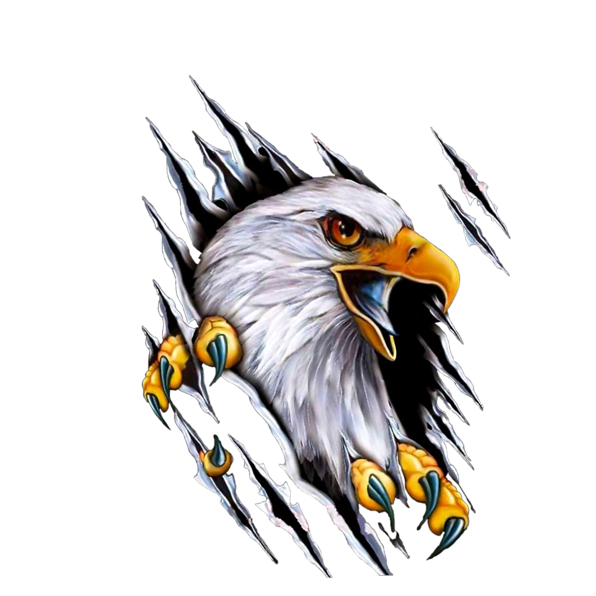 Eagle PNG pngteam.com