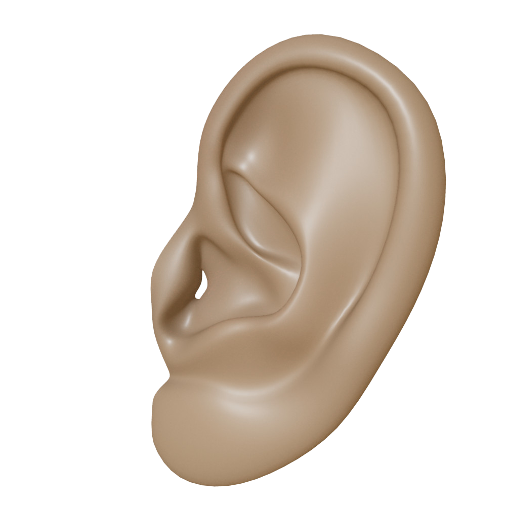 Ear PNG in Transparent pngteam.com