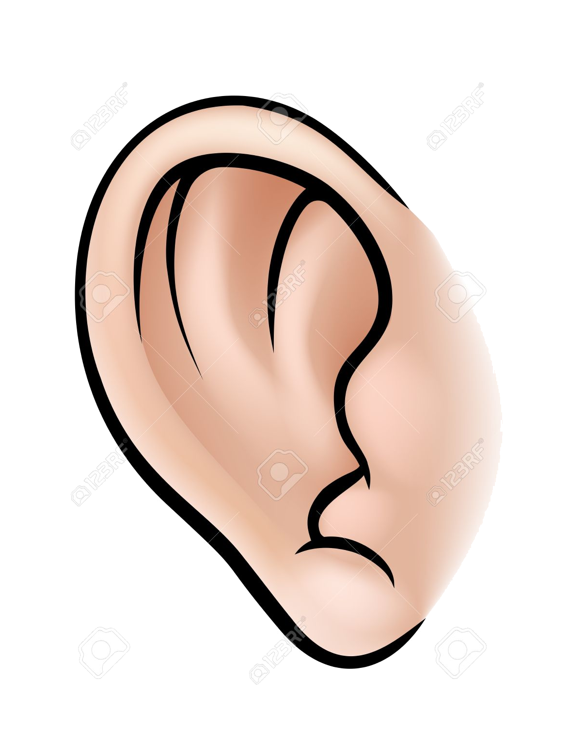 Ear PNG HD Image pngteam.com