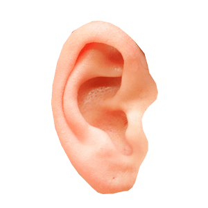 Ear PNG HD Image pngteam.com