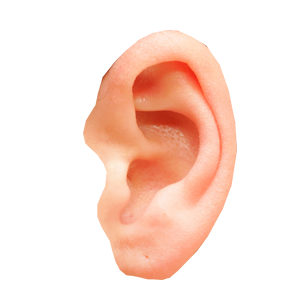 Ear PNG HD and Transparent pngteam.com