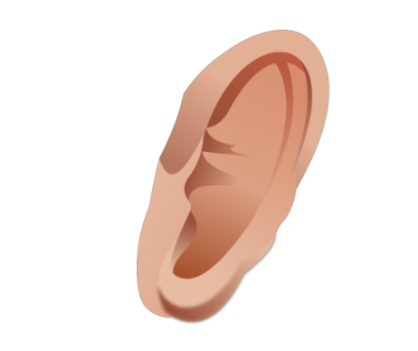 Ear PNG Transparent pngteam.com