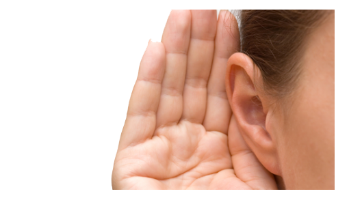 Ear PNG High Definition Photo Image pngteam.com