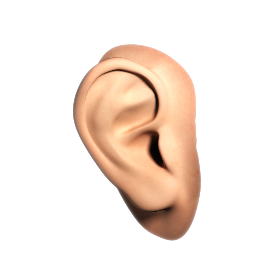 Ear PNG HD and HQ Image pngteam.com