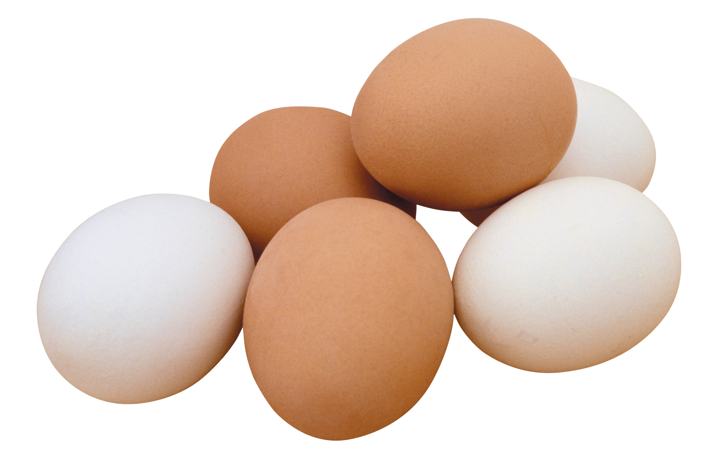 Egg PNG Picture - Egg Png