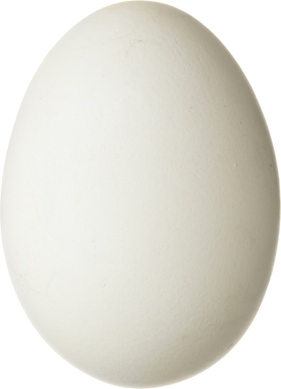 Egg PNG pngteam.com