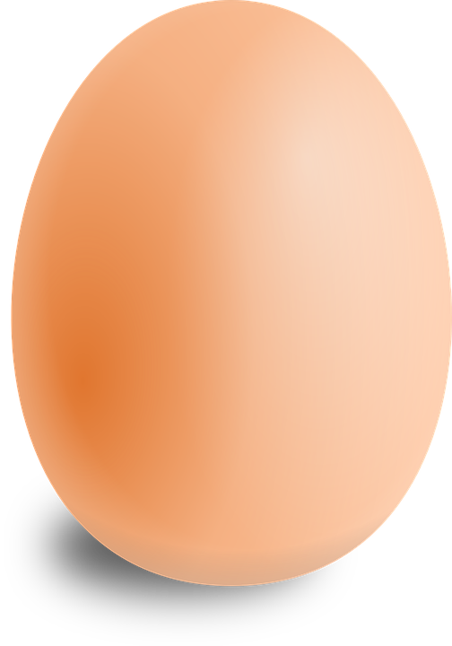 Egg PNG High Definition Photo Image