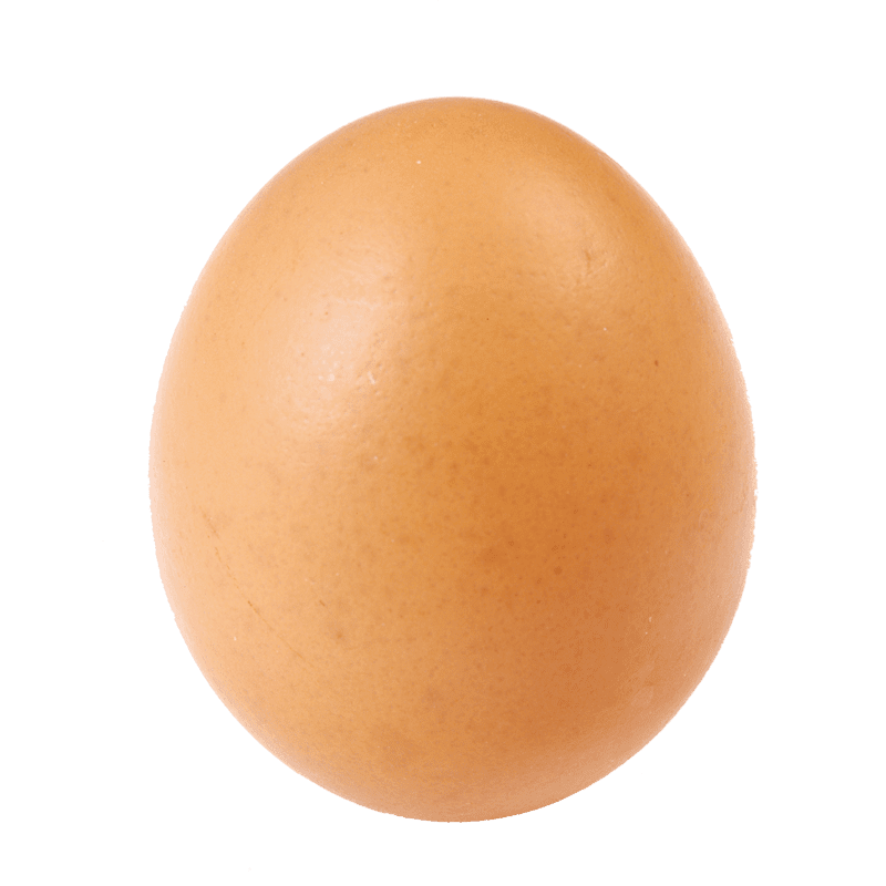 Egg PNG Image in High Definition - Egg Png