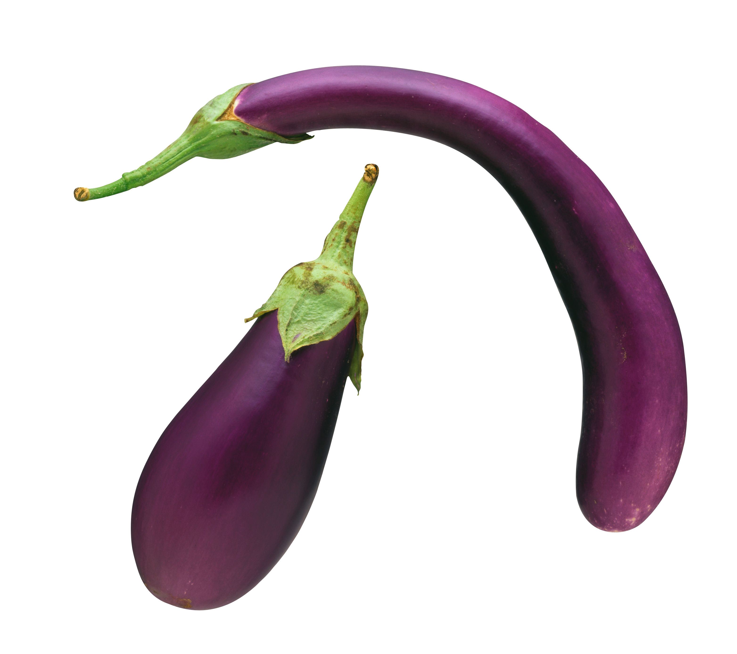 Long Eggplant PNG HD  pngteam.com