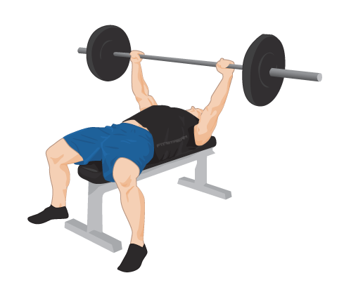 Exercise Bench Clipart Icon PNG in Transparent pngteam.com