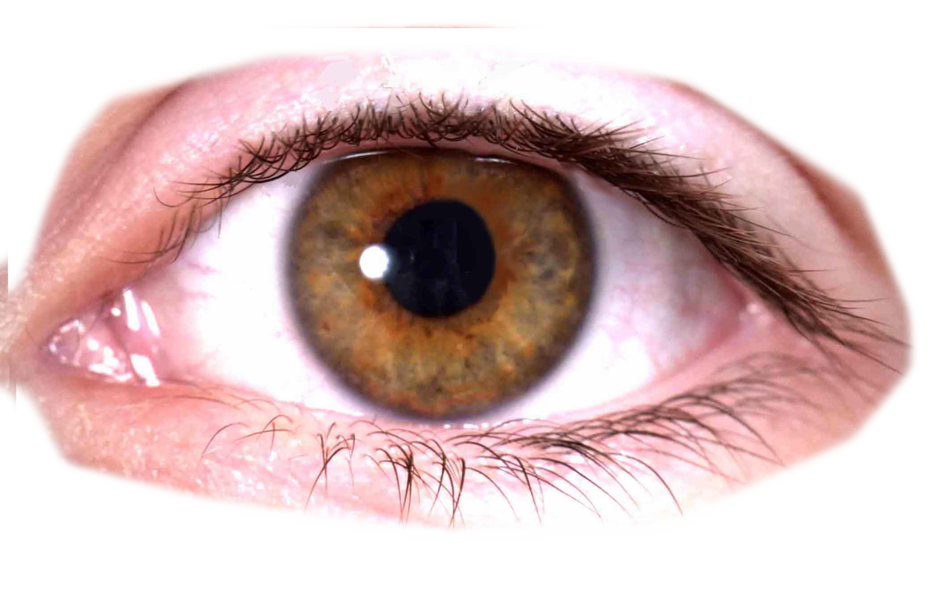 Eyes PNG Images pngteam.com
