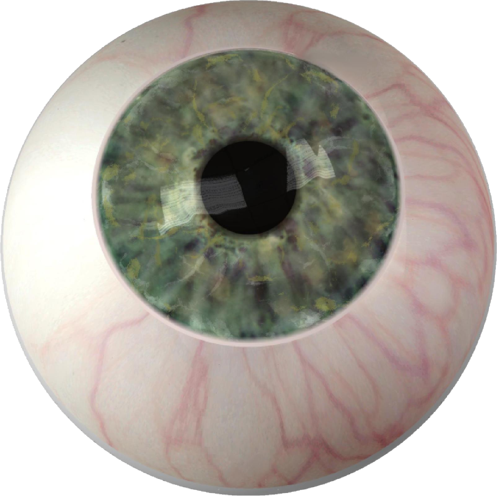 Eyes PNG HD and Transparent pngteam.com