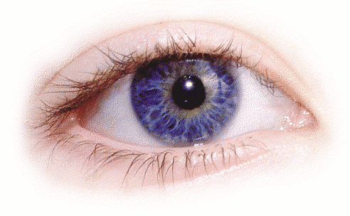 Eyes PNG HD Images pngteam.com