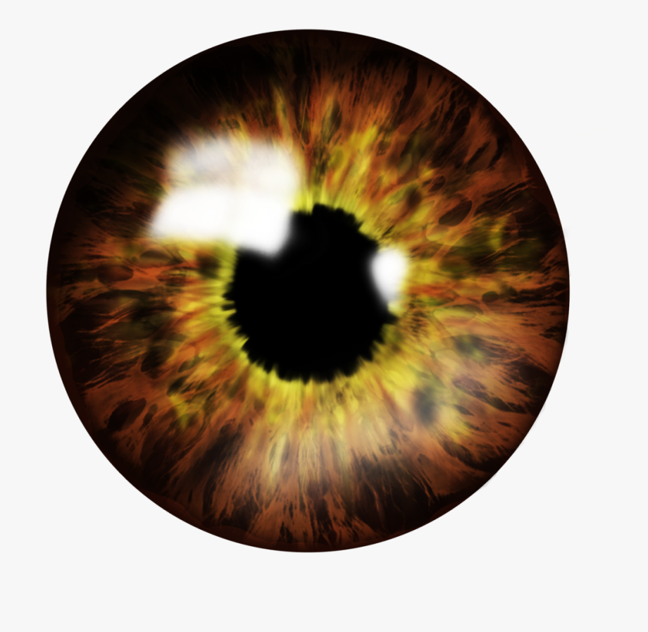 Eyes PNG in Transparent pngteam.com