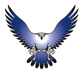 Falcon Logo Icon PNG Photo Transparent pngteam.com
