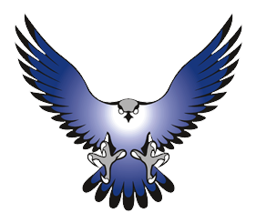 Falcon Logo Icon PNG Photo Transparent - Falcon Png