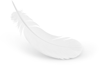 Feather PNG HD Images pngteam.com
