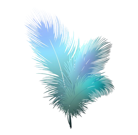 Feather PNG Image in High Definition pngteam.com