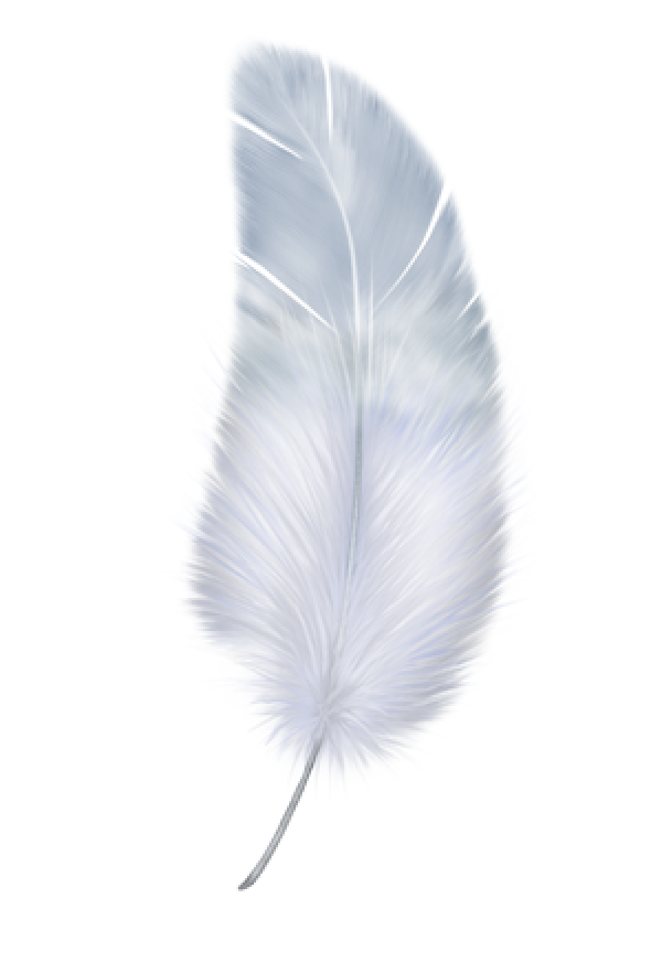 Feather PNG HQ Image pngteam.com
