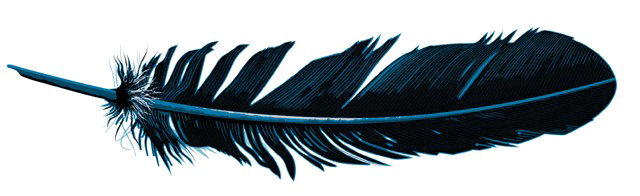 Feather PNG HQ Image pngteam.com