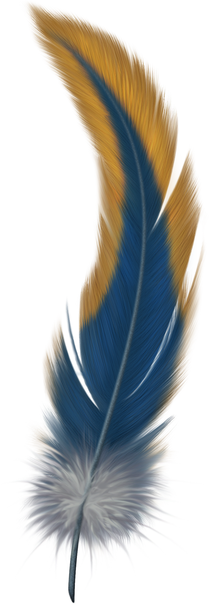 Feather PNG Photo pngteam.com