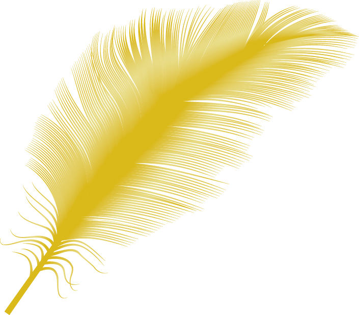 Feather PNG HD File pngteam.com