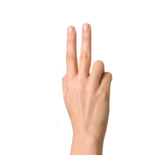 Fingers PNG