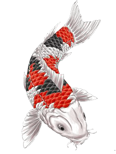 Fish Tattoos PNG in Transparent pngteam.com