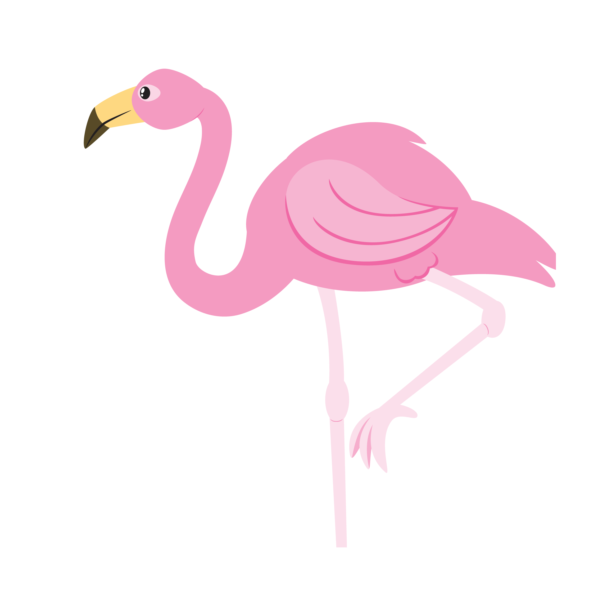 Flamingo Clipart PNG HD Images Transparent