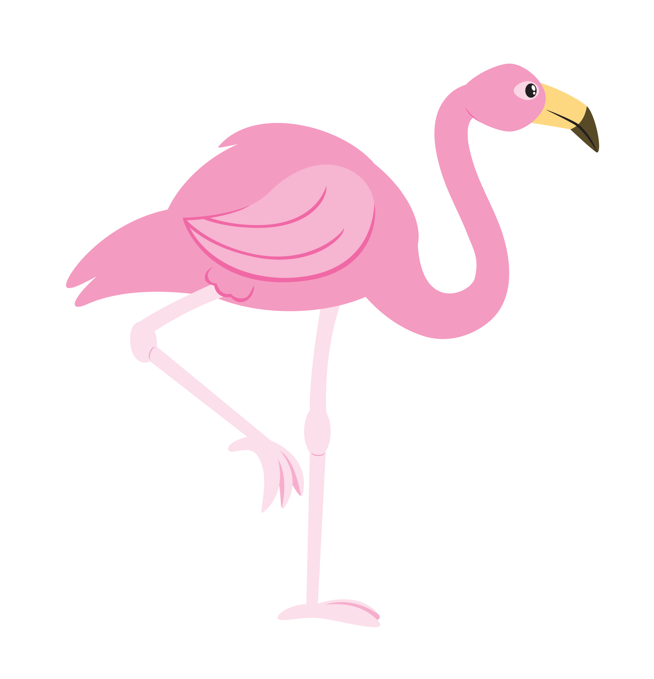 Flamingo Transparent PNG High Definition Photo Image
