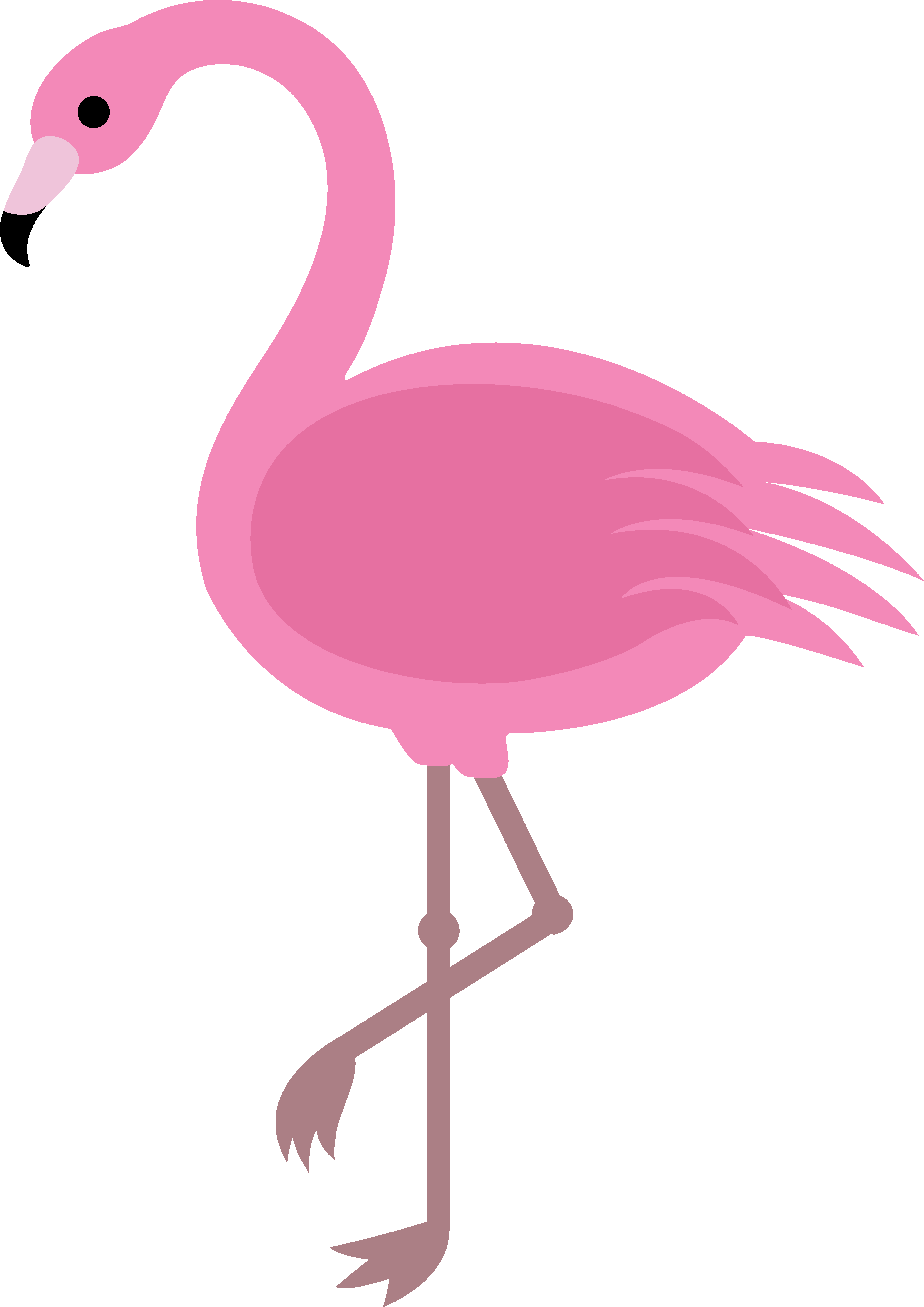 Pink Flamingo PNG HD Transparent
