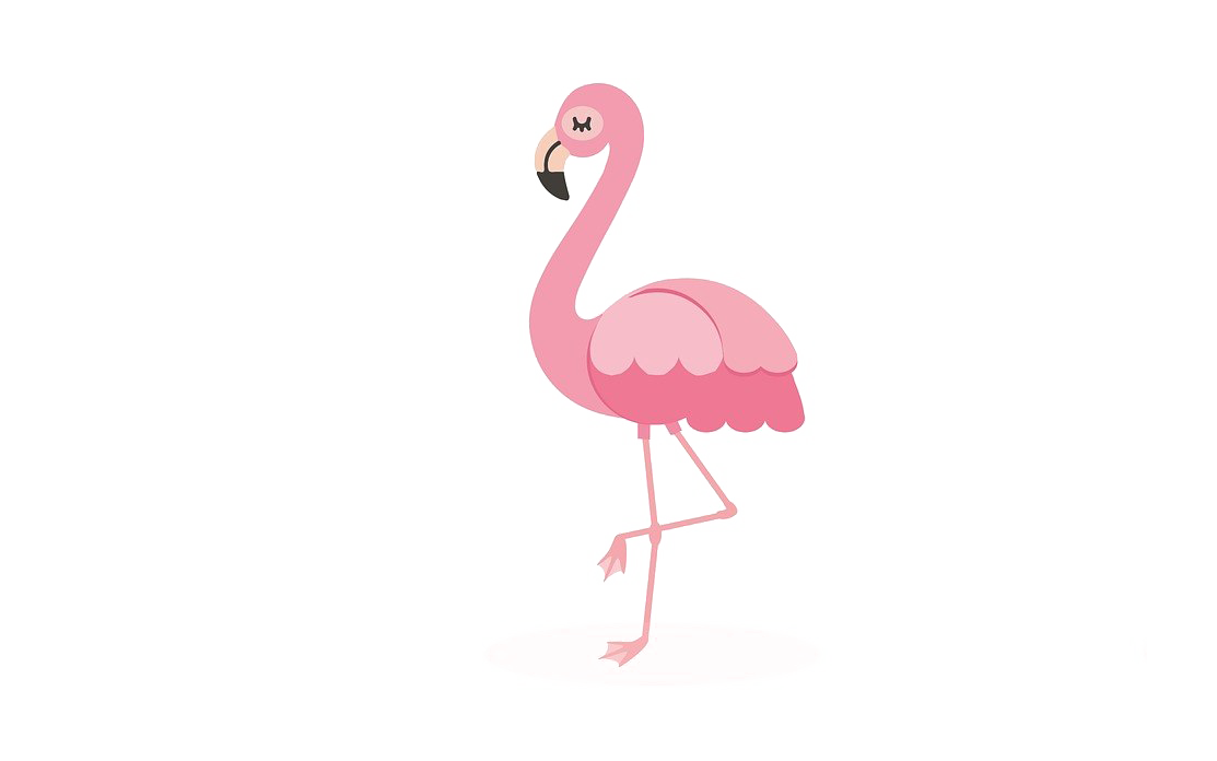 Baby Flamingo Clipart PNG Image in Transparent pngteam.com
