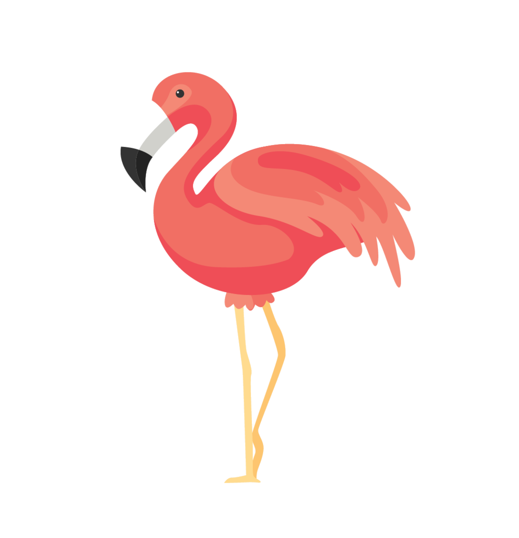 Flamingo Transparent PNG Image HD Photo