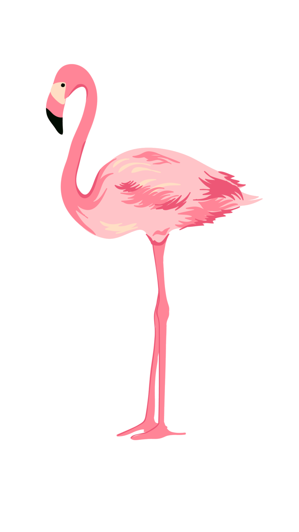 Flamingo PNG Transparent Background Image HD