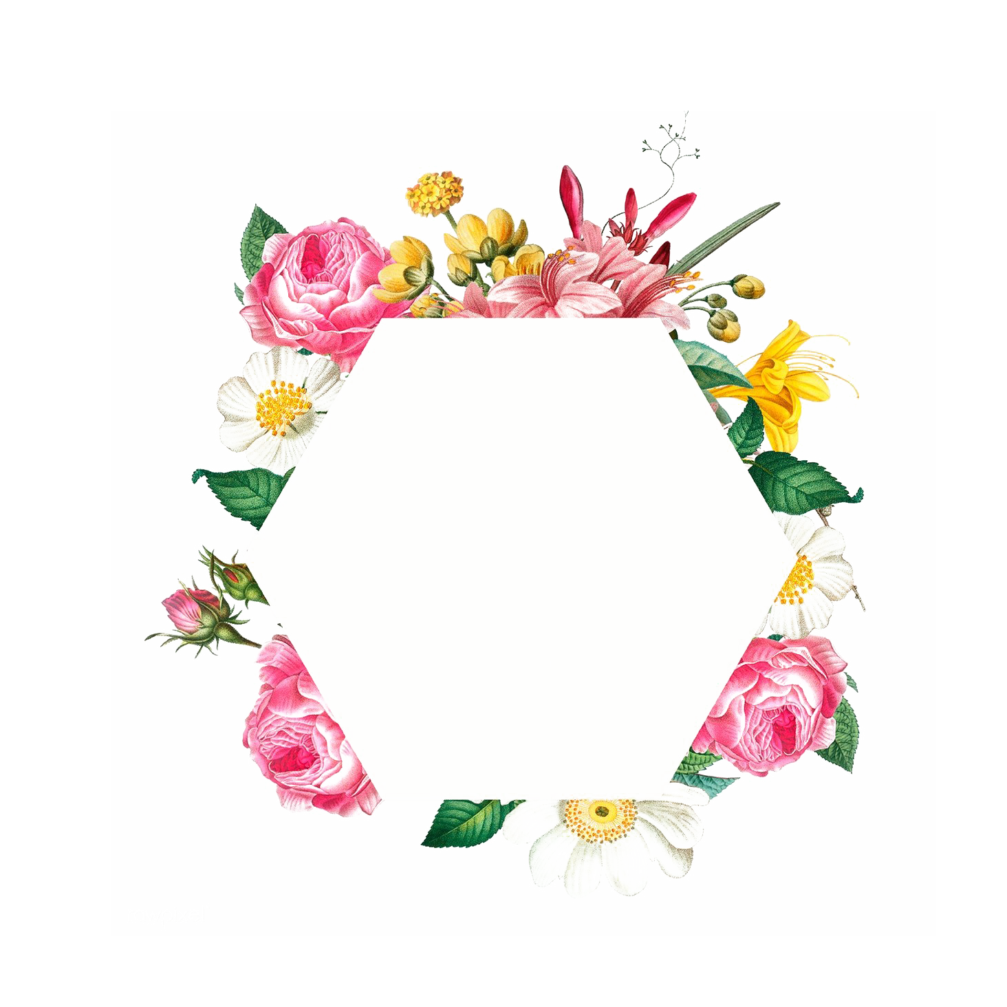 Floral Frame PNG File pngteam.com