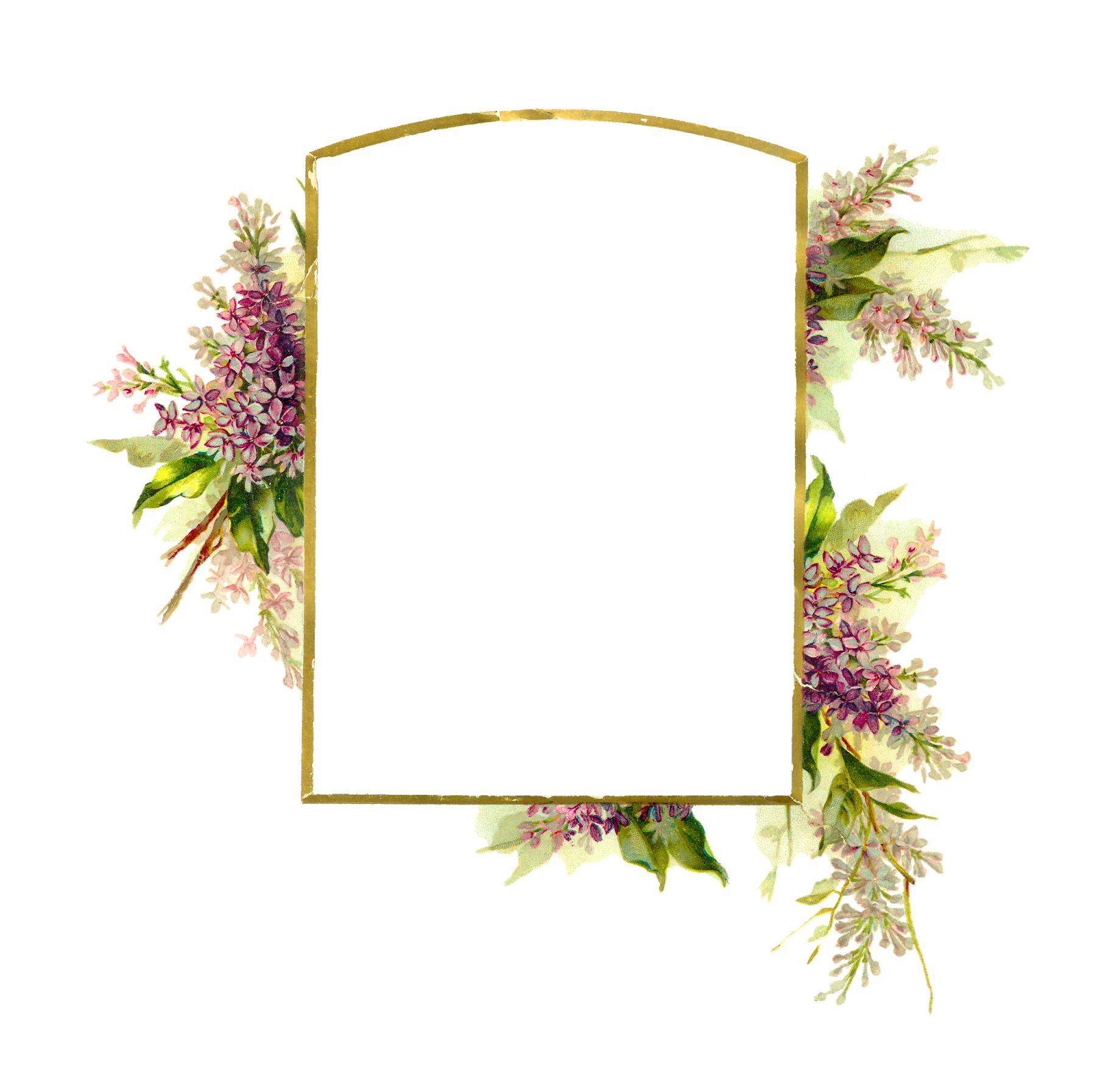 Floral Frame PNG Transparent pngteam.com