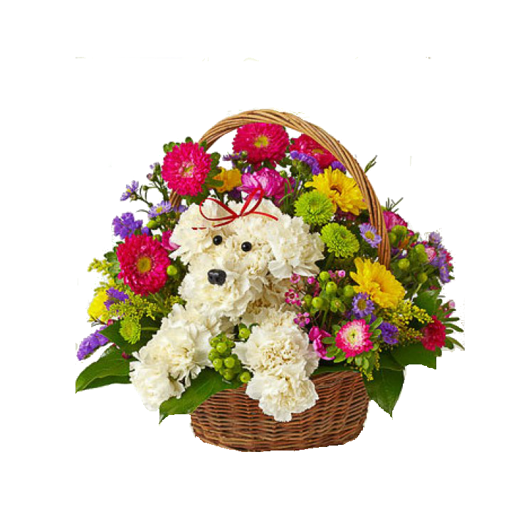 Flowers Bouquet PNG HD File