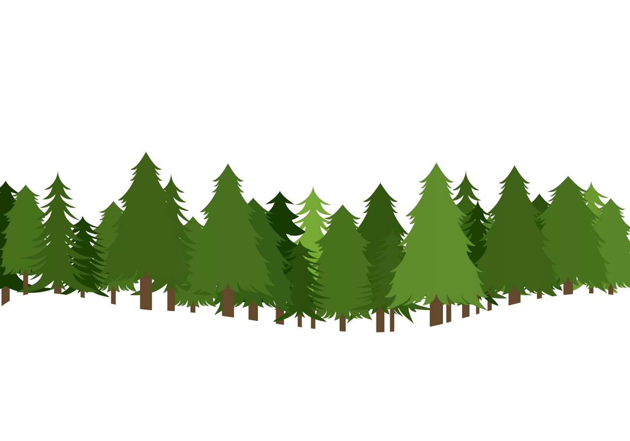 Forest PNG in Transparent - Forest Png