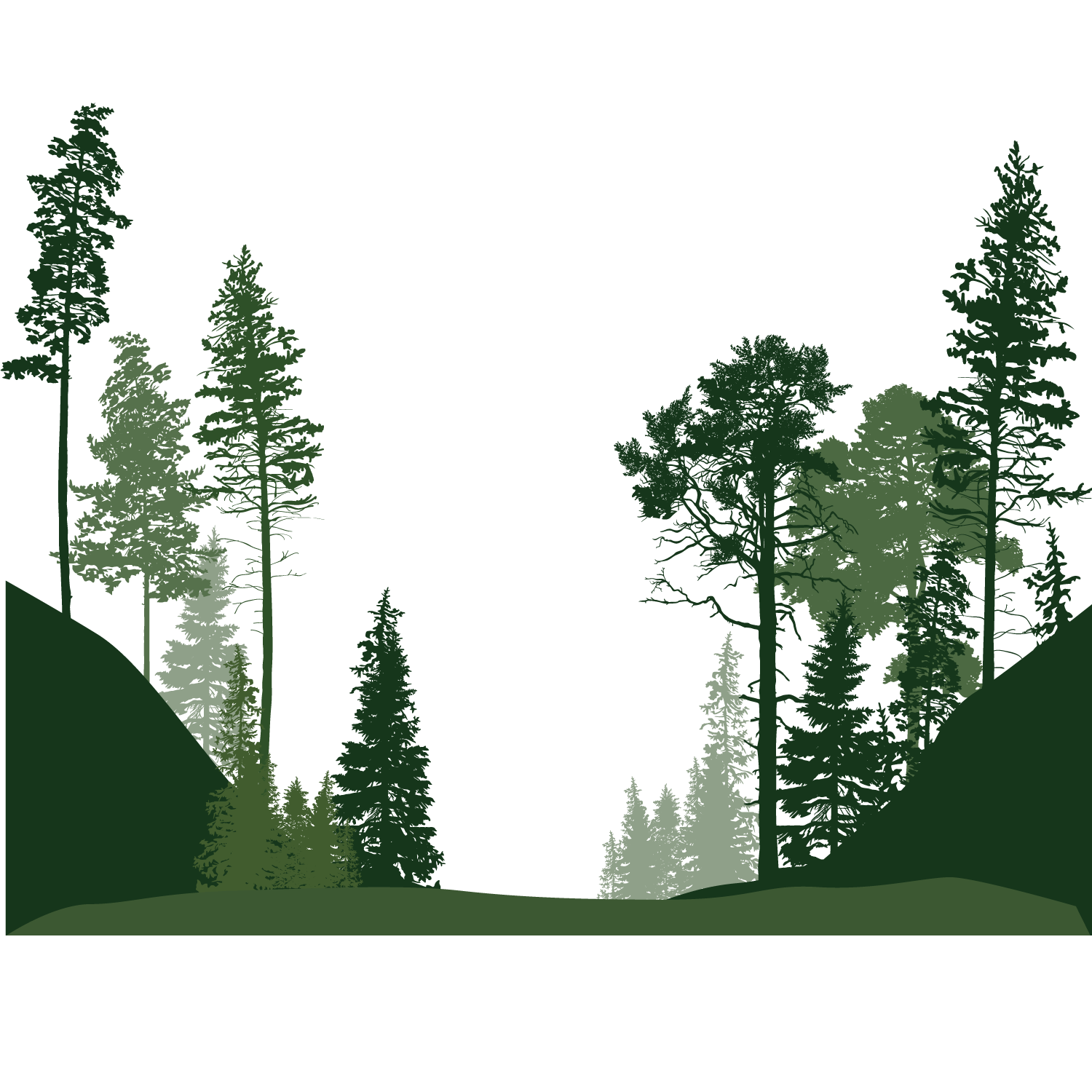 Forest PNG File - Forest Png
