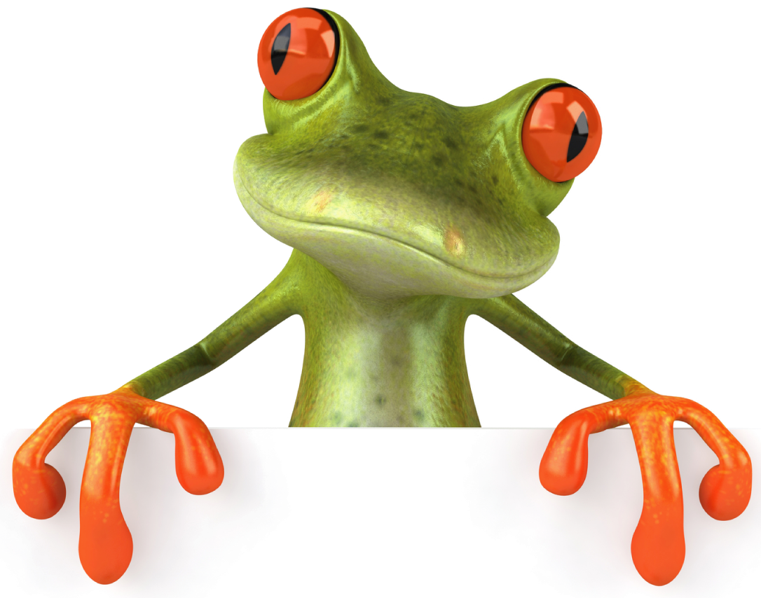 Frog PNG Transparent pngteam.com