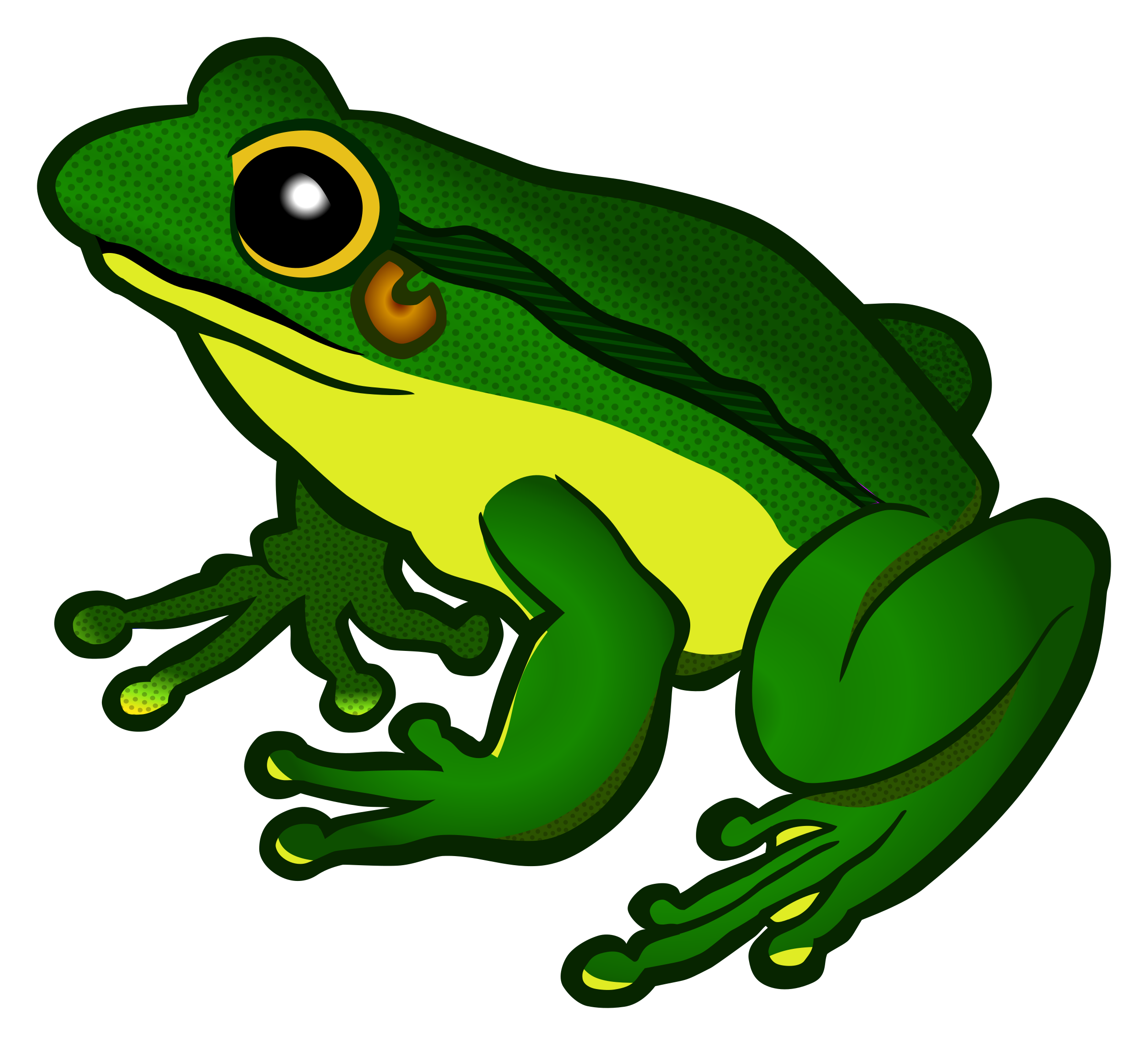 Frog PNG Transparent pngteam.com