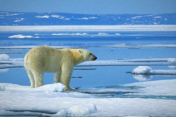 Global Warming PNG Image in High Definition pngteam.com