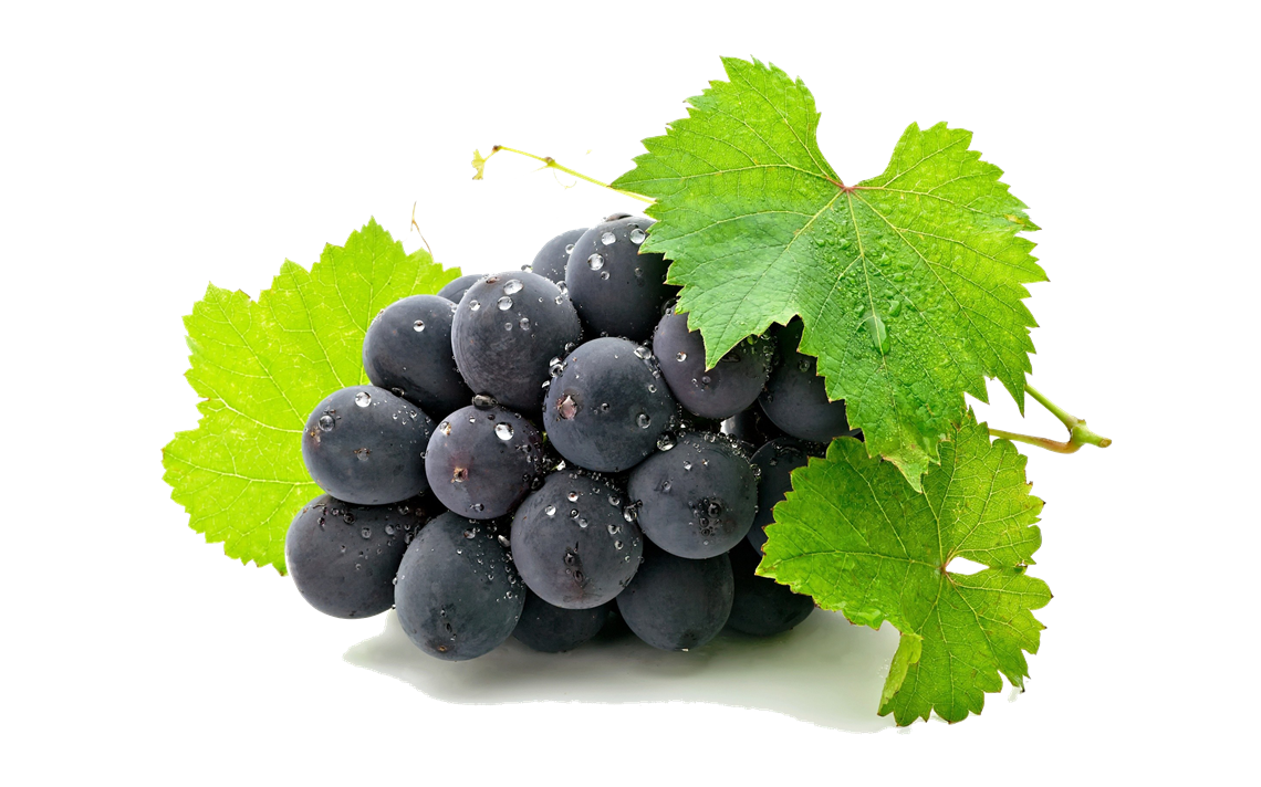 Grape PNG HD and HQ Image pngteam.com