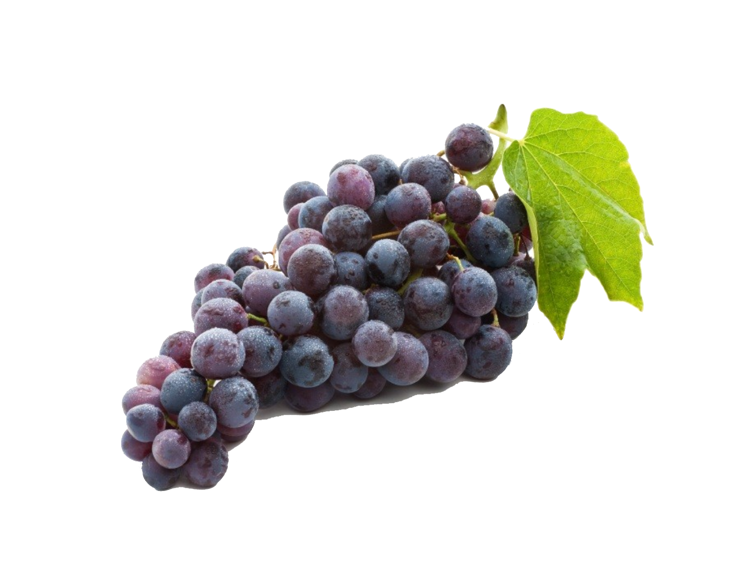 Grape PNG Image in High Definition pngteam.com