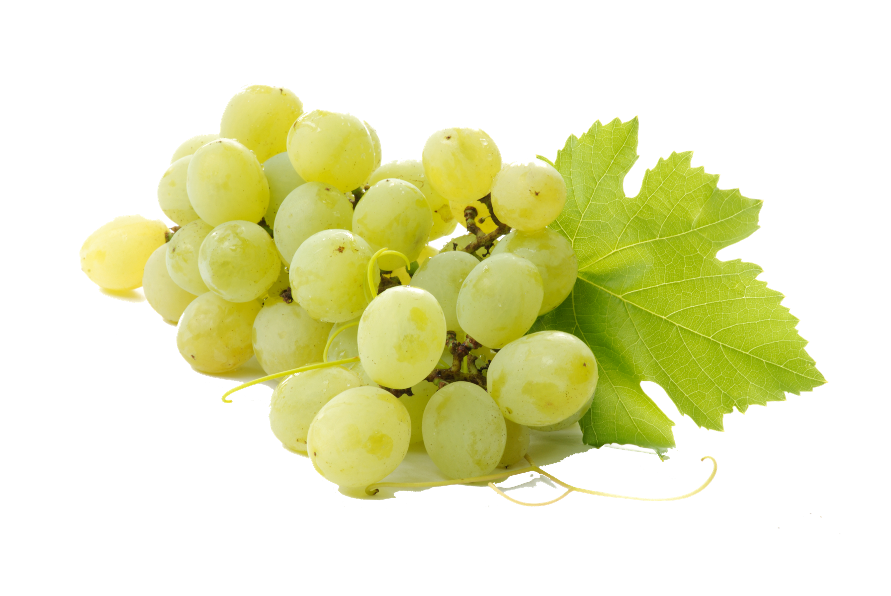 Grape PNG pngteam.com