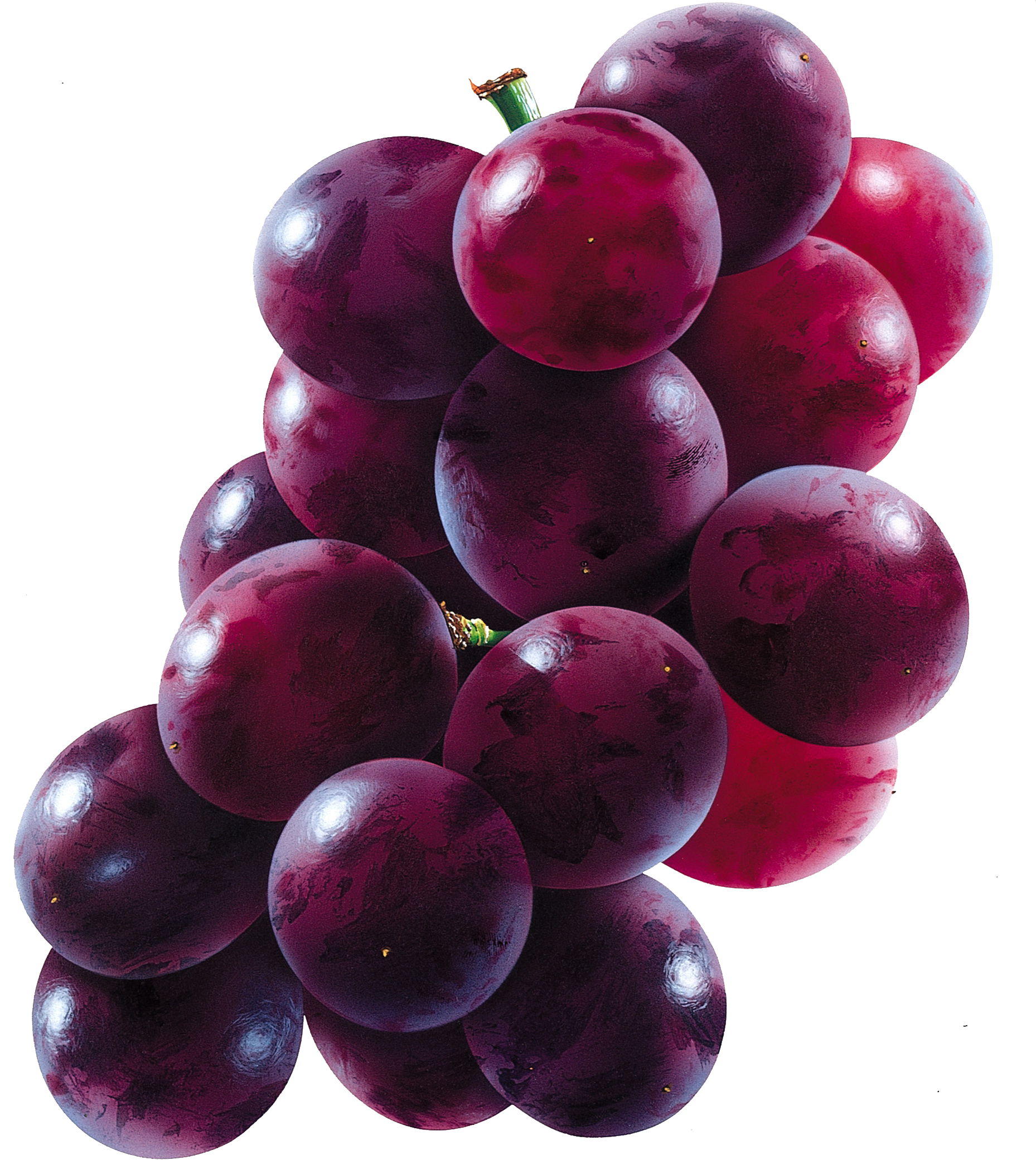 Grape PNG Transparent pngteam.com