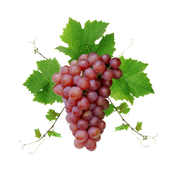 Grape PNG in Transparent pngteam.com