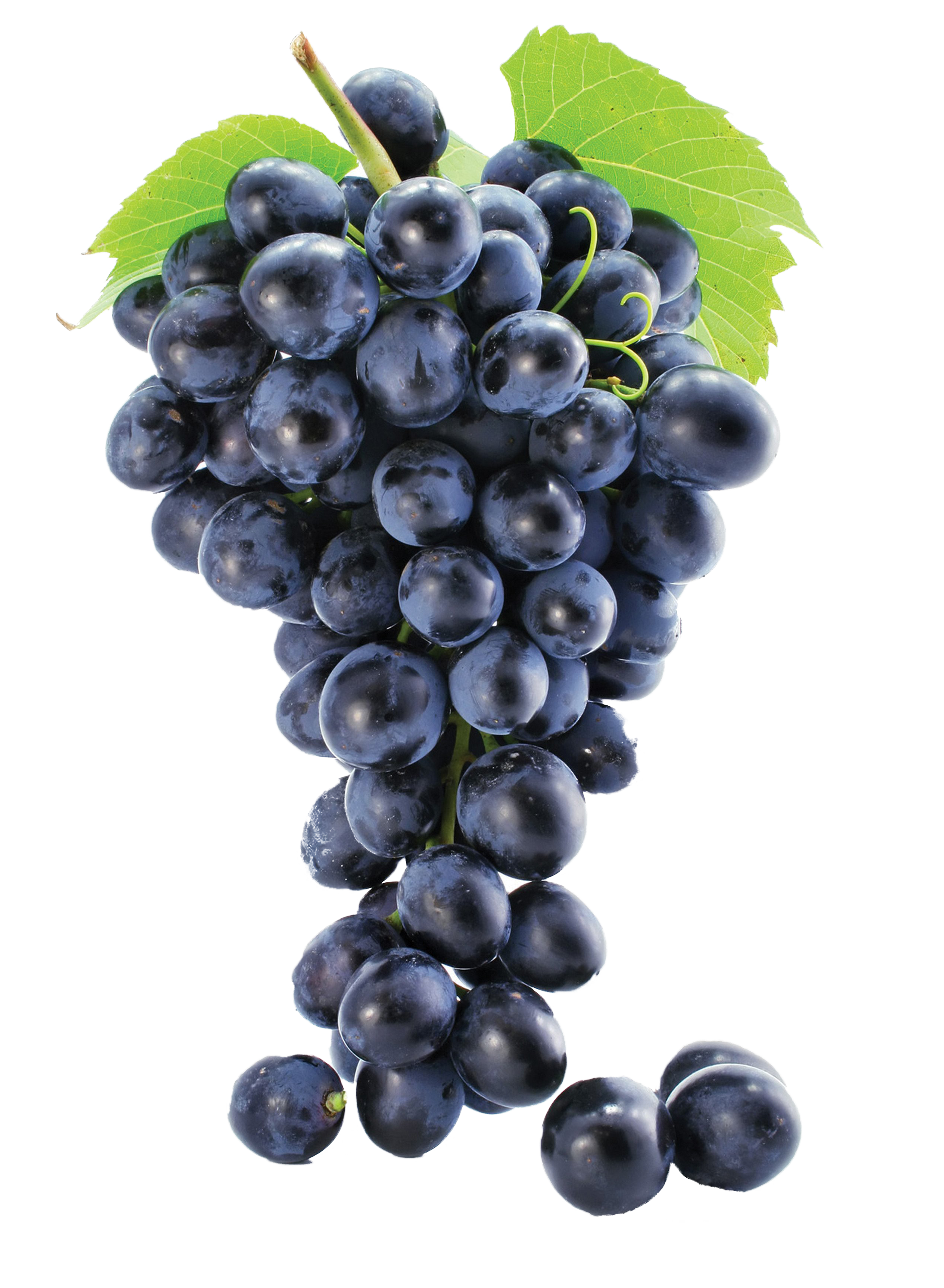 Black Grapes PNG HD Images pngteam.com