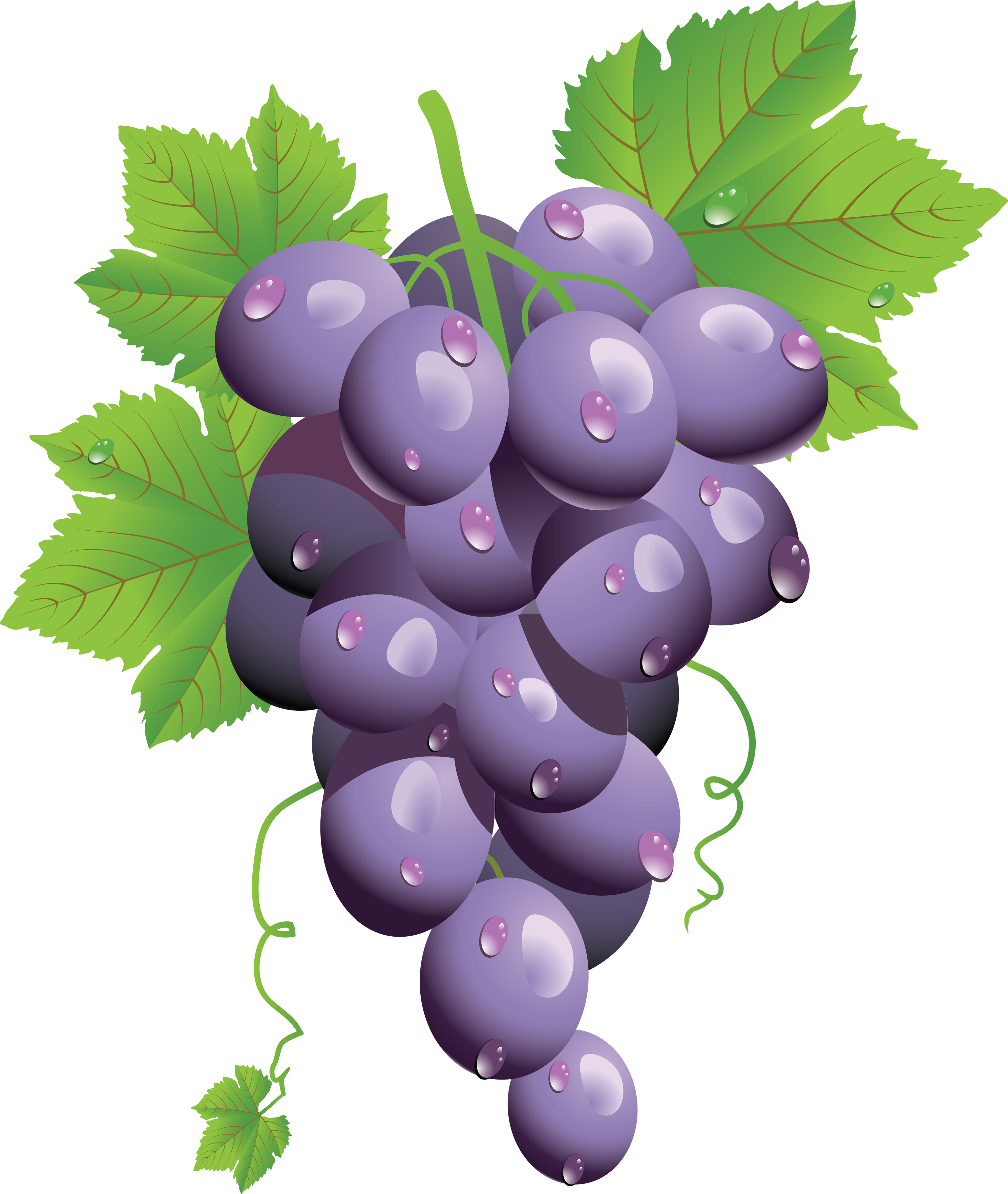 Grape PNG Transparent pngteam.com